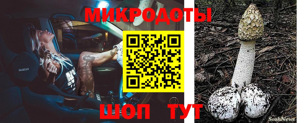 Якутск  закладка  Вход с VPN  Псилоцибиновые грибы мицелий 